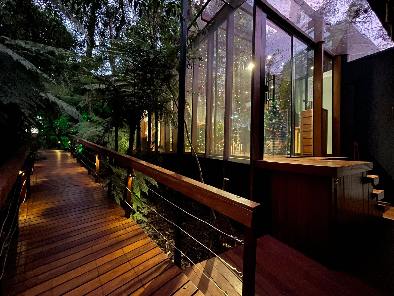 WhatsApp Image 2022-04-03 at 18.23.24.jpeg